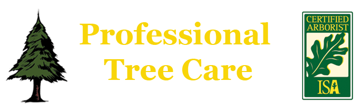 Professional Tree Care