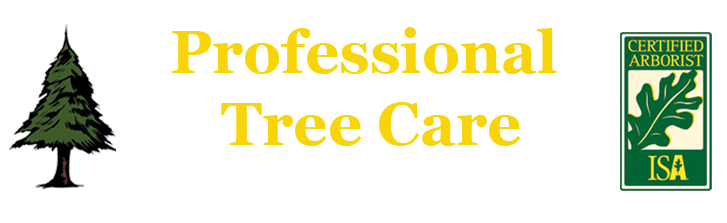 Professional Tree Care