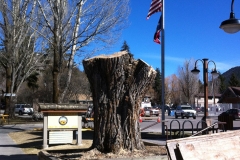 TownHall.Stump