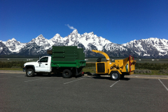 chipper-tetons